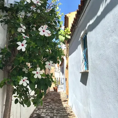 Casa Angioy With Sea View Terrace Ferienhaus